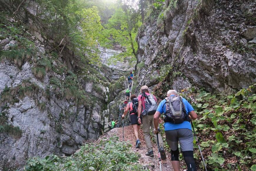 Dans la Combe Dans la Combe