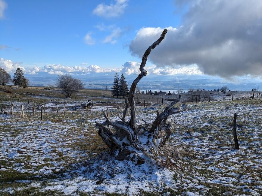 Le jour de la reconnaissance Le jour de la reconnaissance