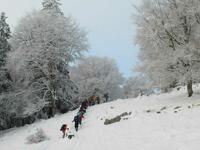 En direction du Mont d'Or En direction du Mont d'Or