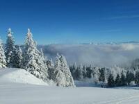 Sur les pistes de la station Sur les pistes de la station